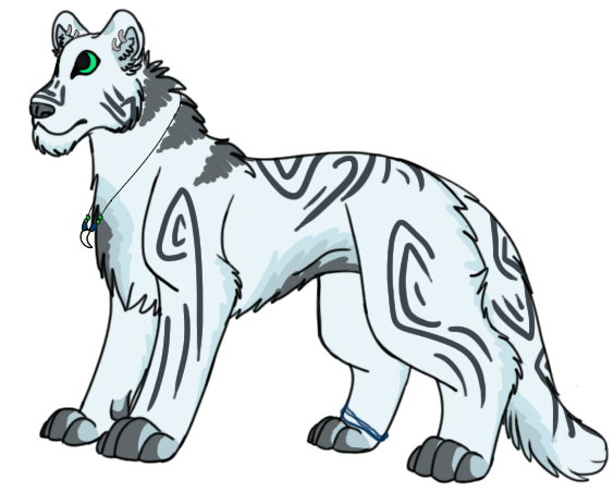 Frame Whiskers Dog Cat Tiger Lion Celsius Transparent PNG Image