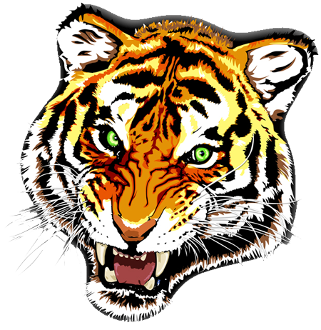 Tiger Tattoos Png Clipart Transparent PNG Image