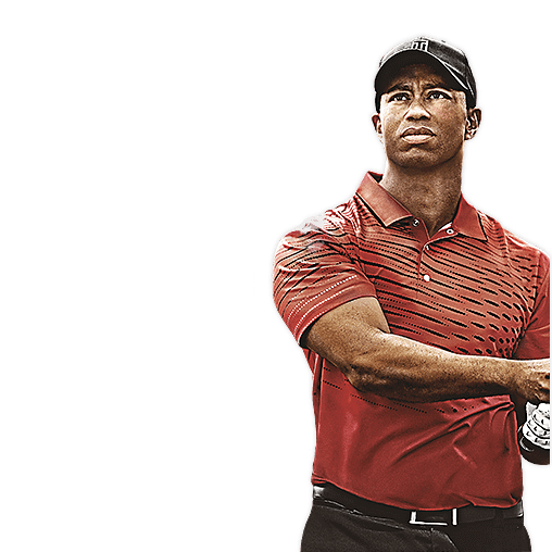 Tiger Woods File Transparent PNG Image