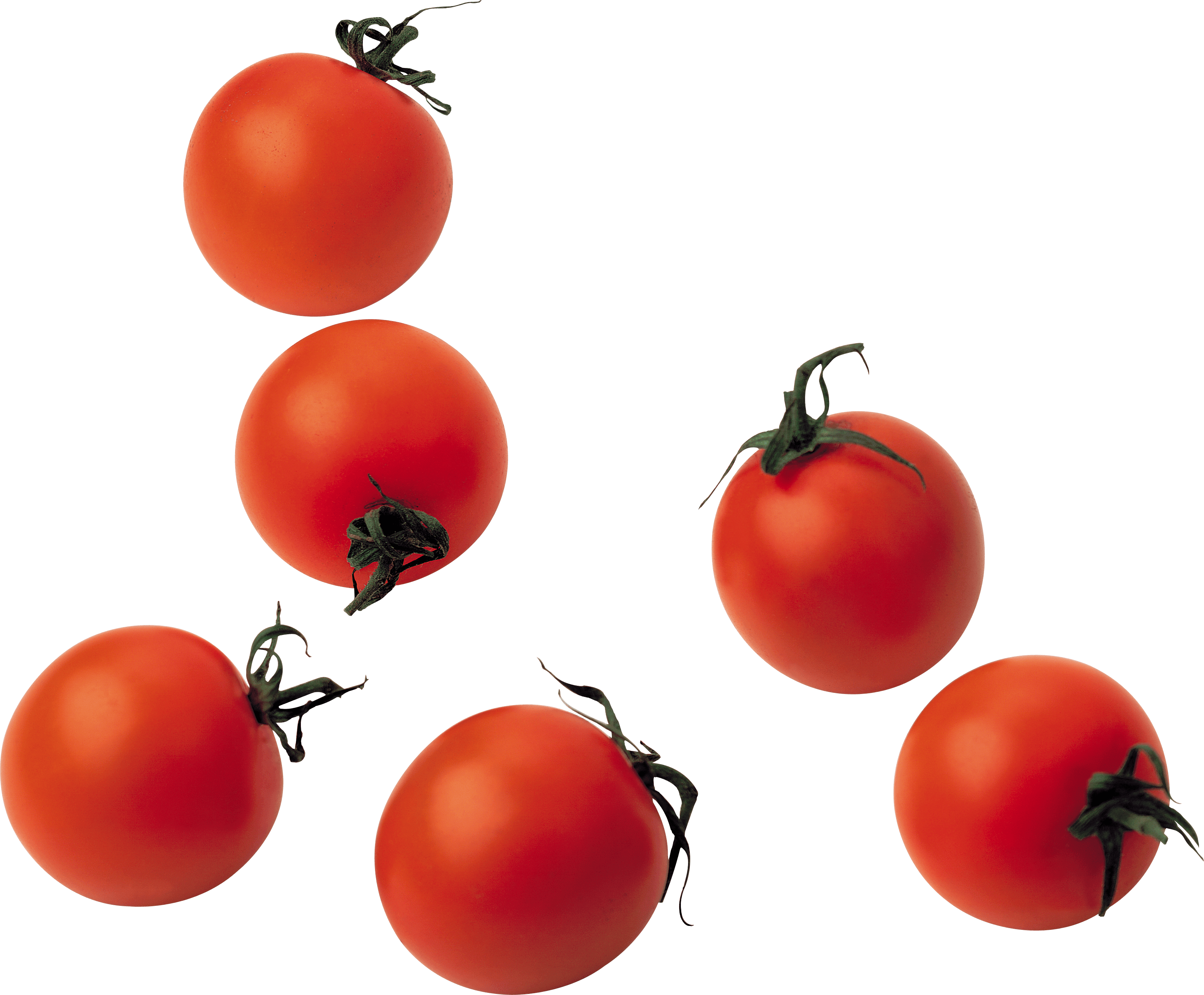 Tomato Png Image Transparent PNG Image