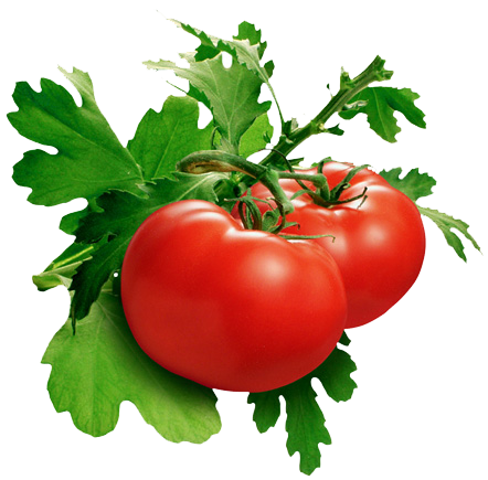 Tomato Png Pic Transparent PNG Image