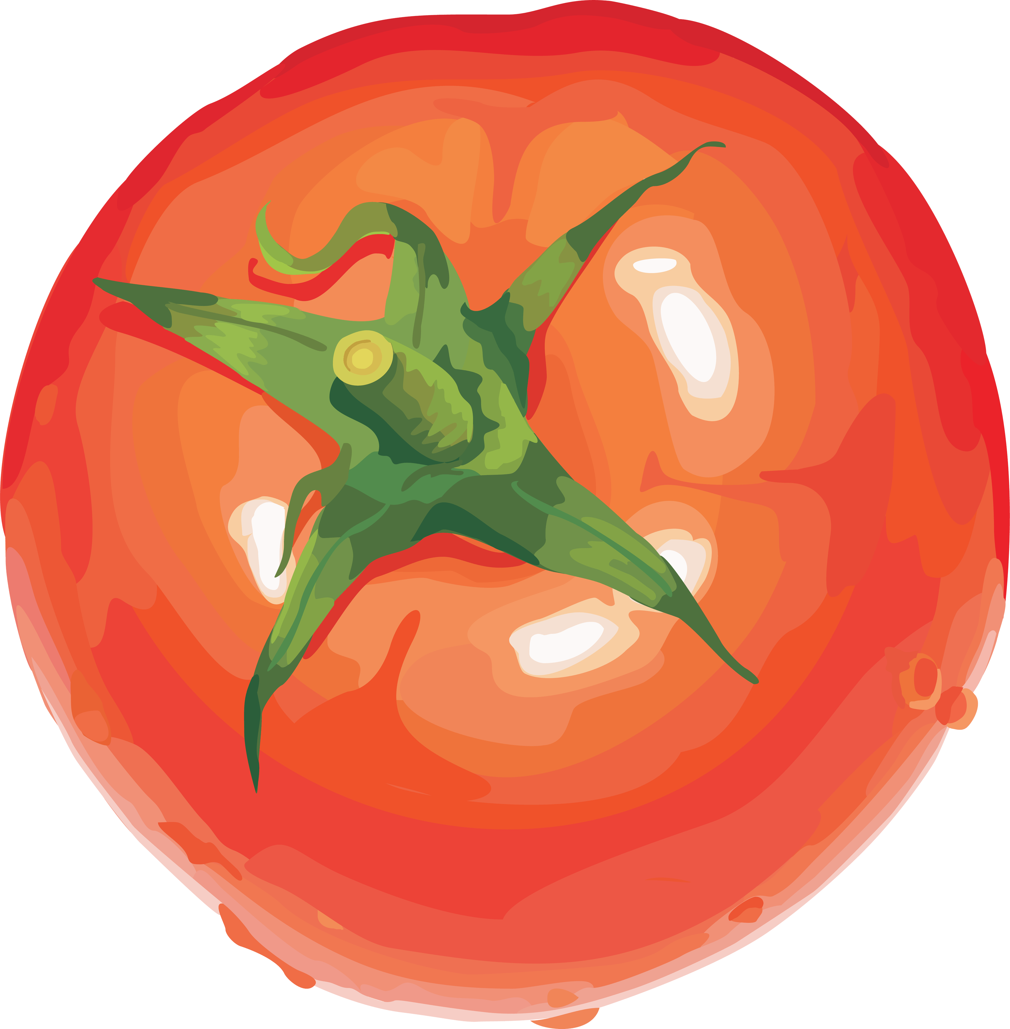 Tomato Png Image Transparent PNG Image