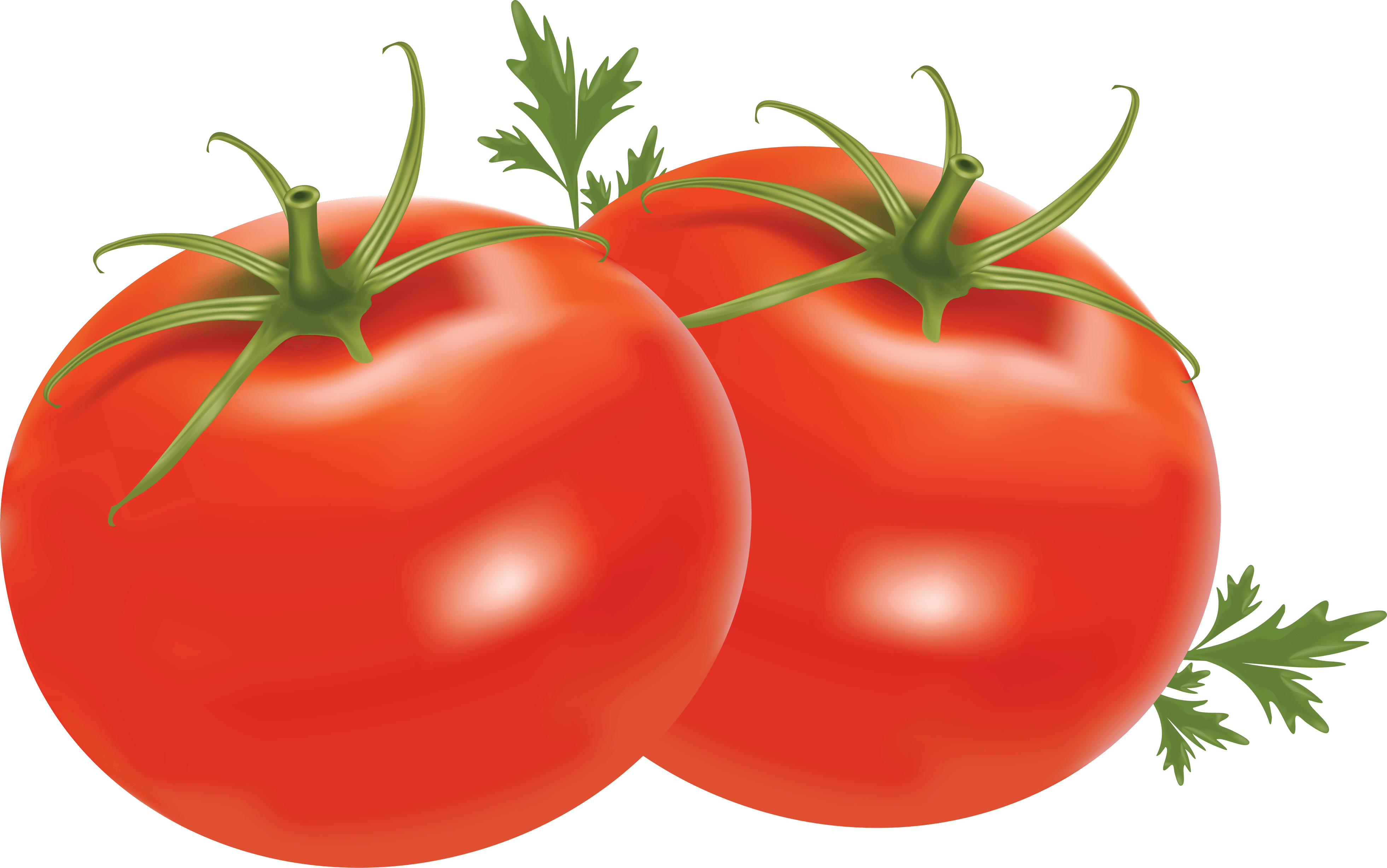 Tomato Png Image Picture Download Transparent PNG Image