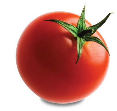 Tomato Picture Transparent PNG Image