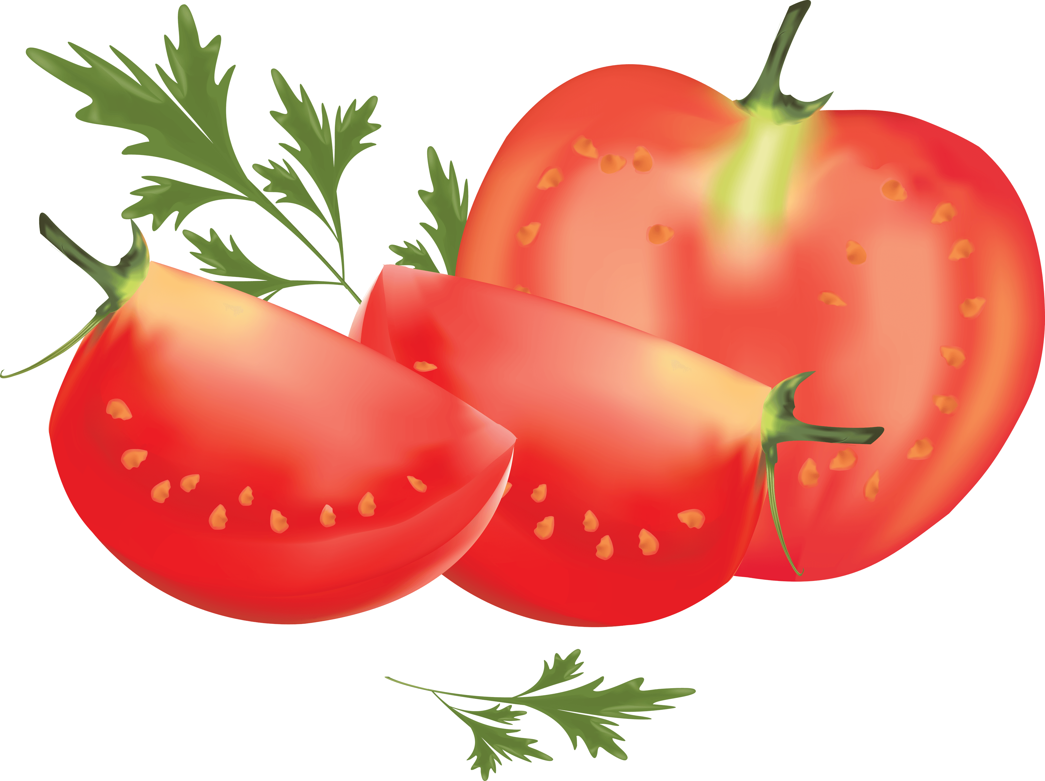 Tomato Png Image Transparent PNG Image