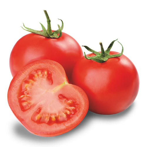 Fresh Tomatoes Bunch Free HQ Image Transparent PNG Image