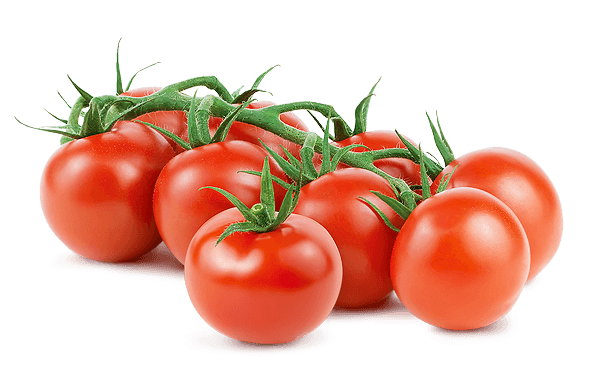 Fresh Photos Tomatoes Bunch Free Photo Transparent PNG Image