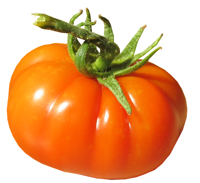 Fresh Juicy Tomatoes Bunch PNG Download Free Transparent PNG Image