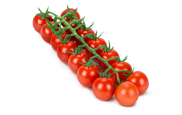 Fresh Organic Tomatoes Bunch Free Clipart HQ Transparent PNG Image