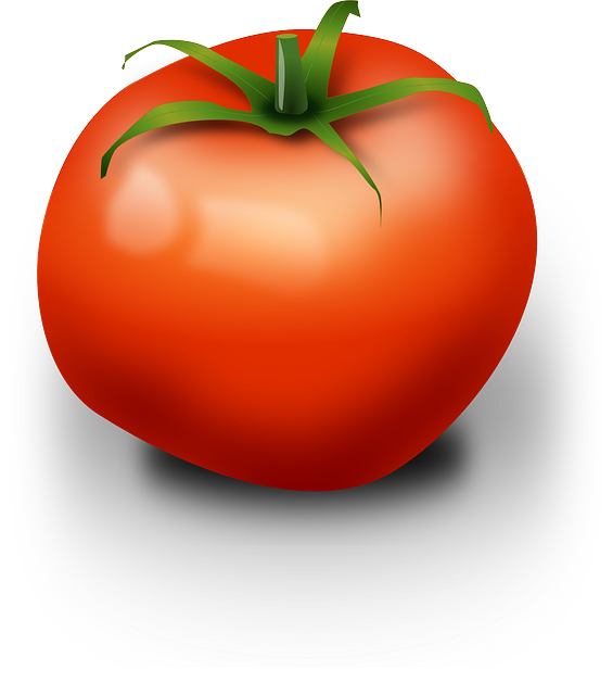 Fresh Organic Tomatoes Bunch Free Download Image Transparent PNG Image