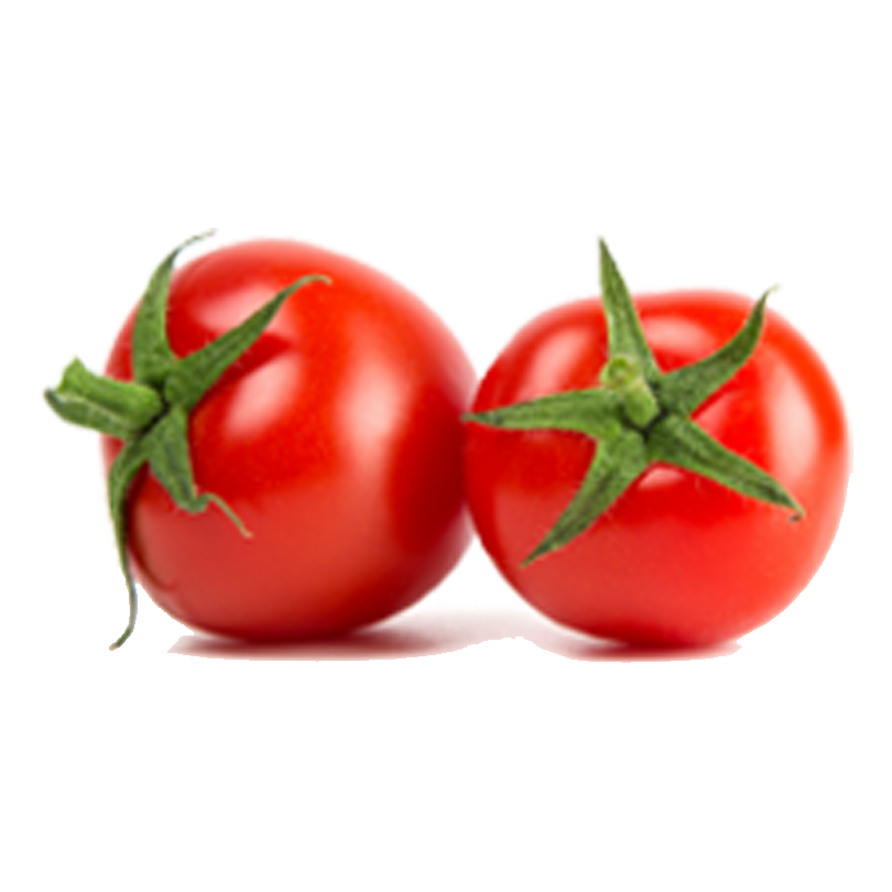 Fresh Tomatoes Red Bunch PNG Download Free Transparent PNG Image