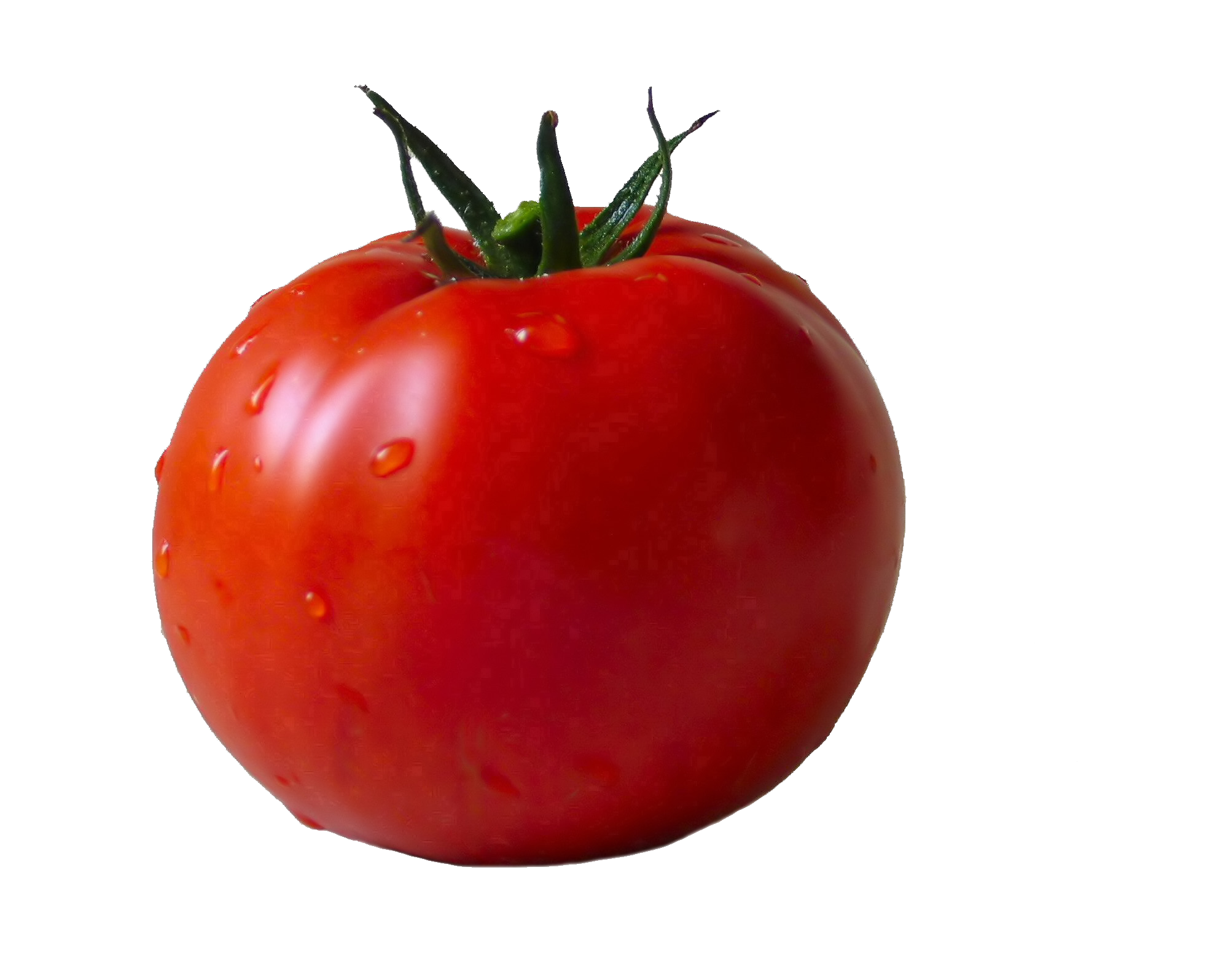 Fresh Tomatoes Red Bunch Free Transparent Image HD Transparent PNG Image