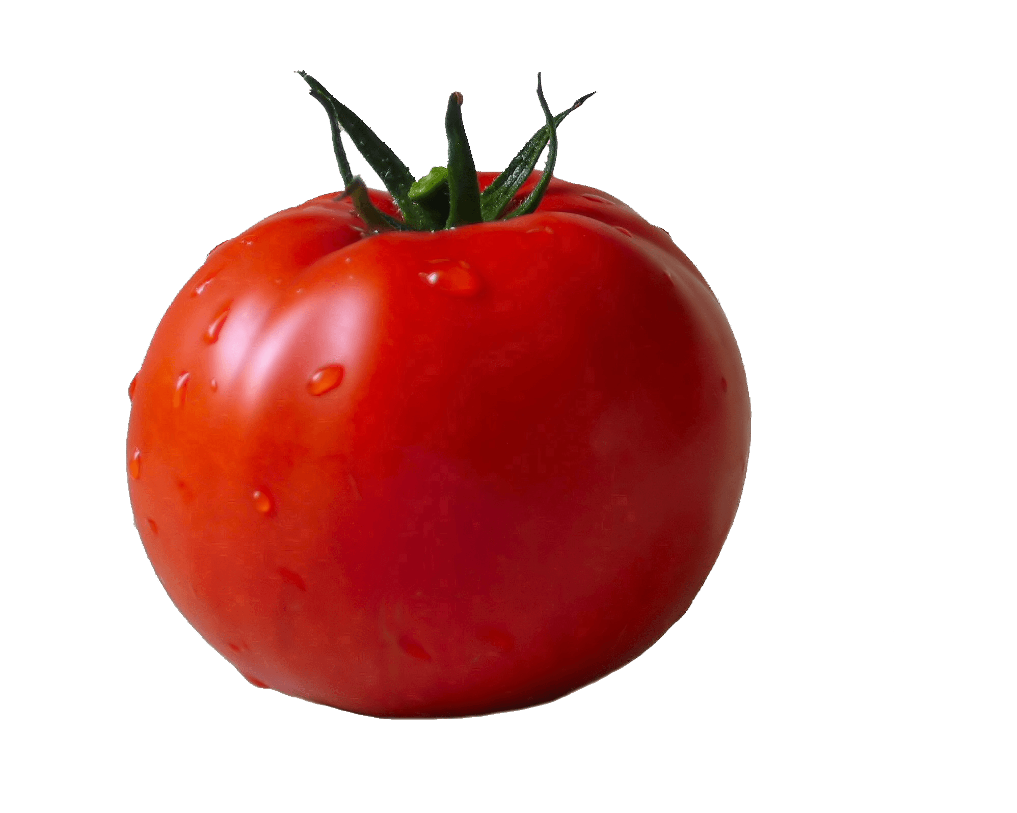 Tomato Png Image Transparent PNG Image