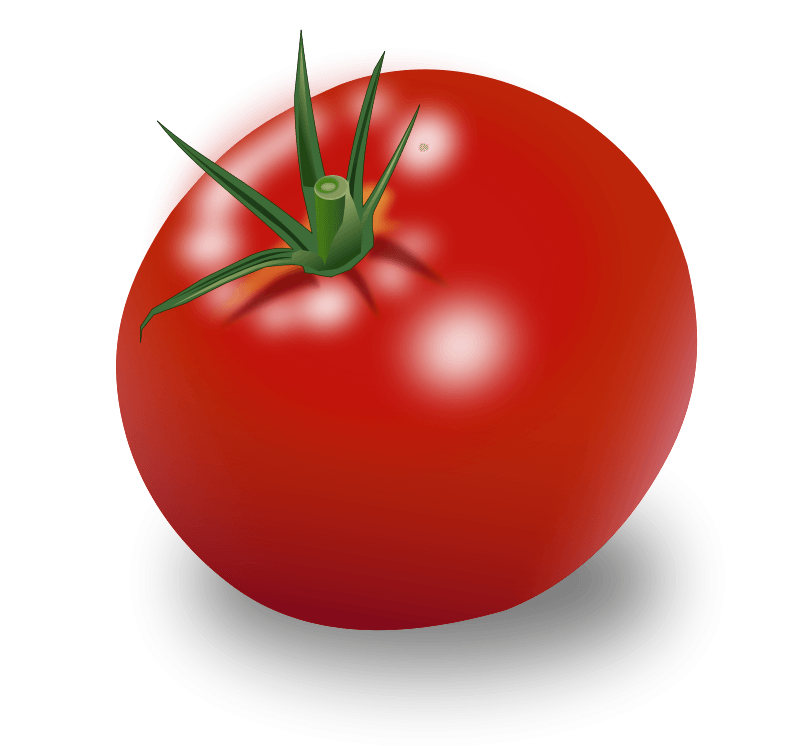 Tomato Png Image Transparent PNG Image