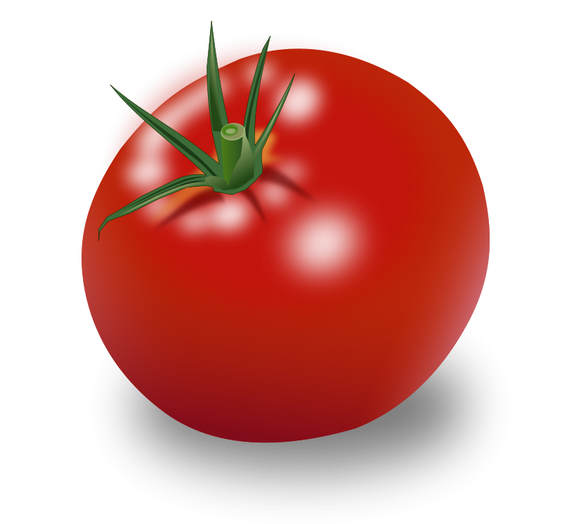 Tomato Vector Free Transparent PNG Image