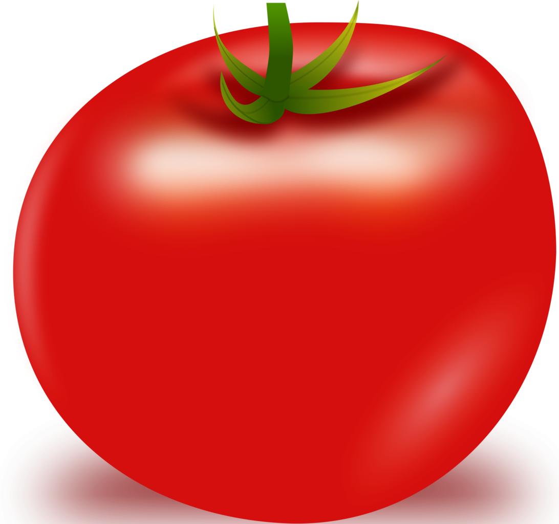 Tomato Vector Transparent PNG Image