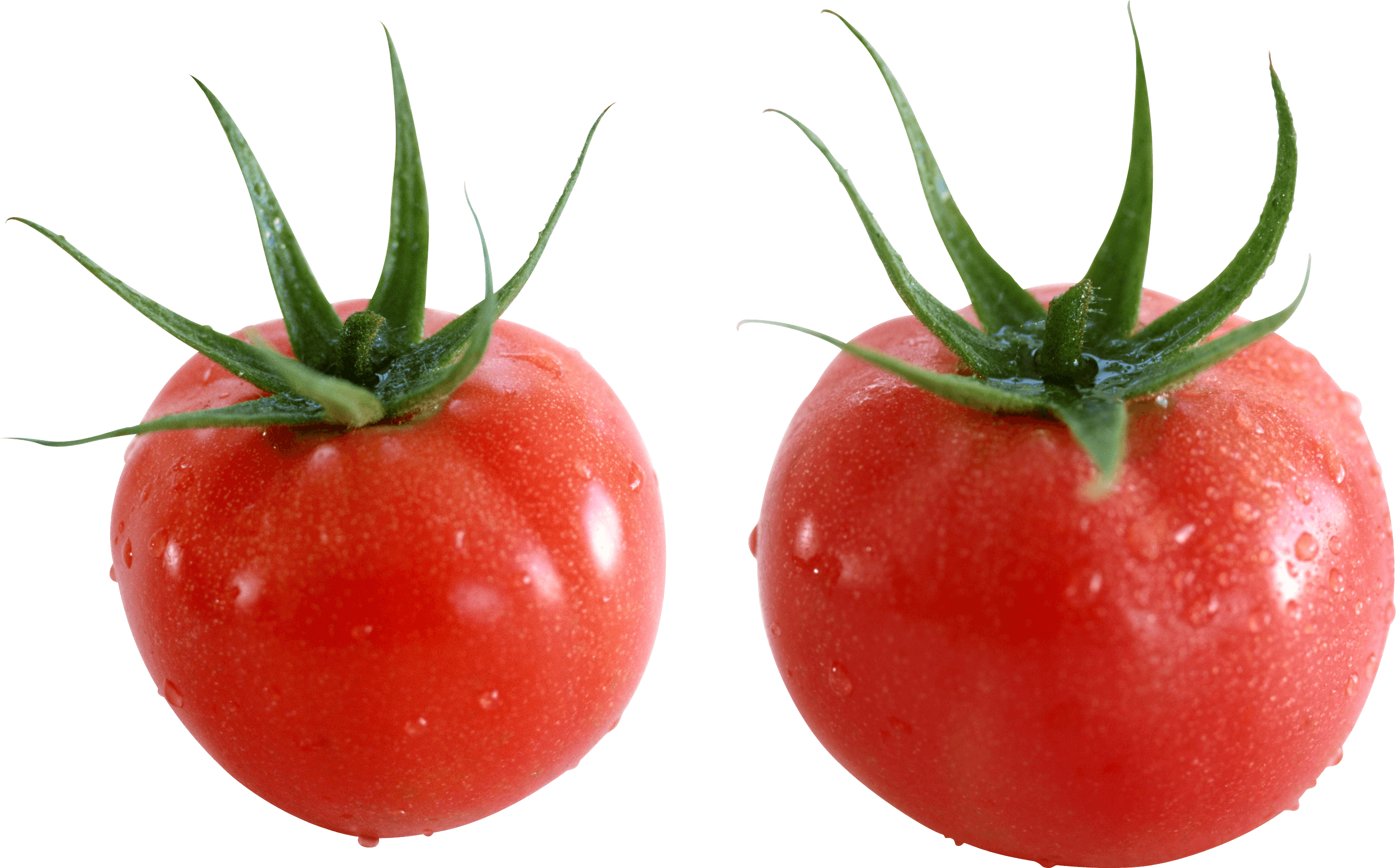 Tomato Png Image Transparent PNG Image