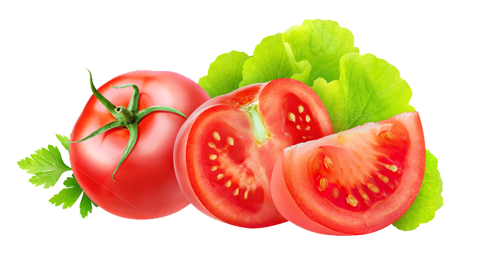 Tomato Transparent Transparent PNG Image