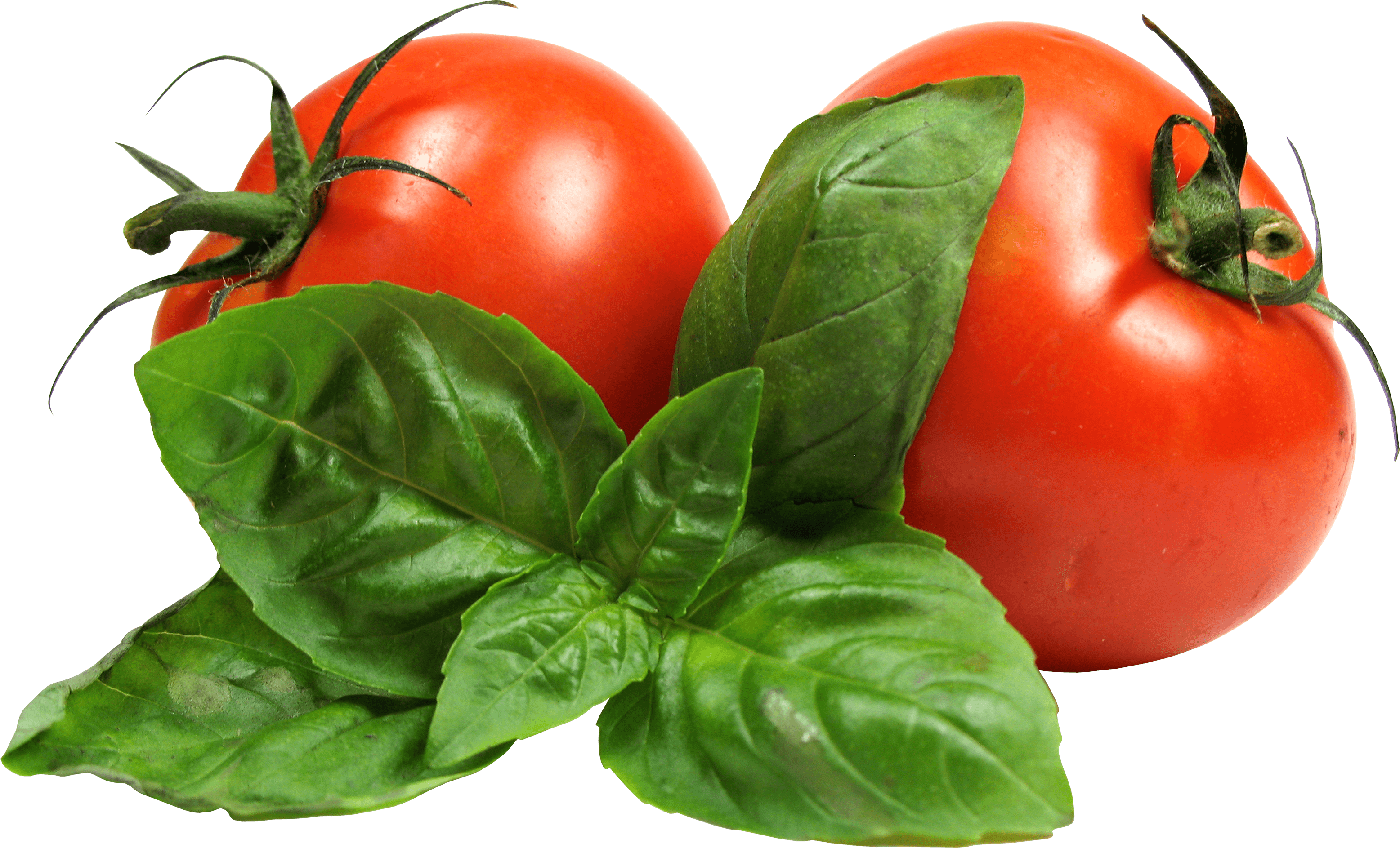 Tomato Png Image Picture Download Transparent PNG Image