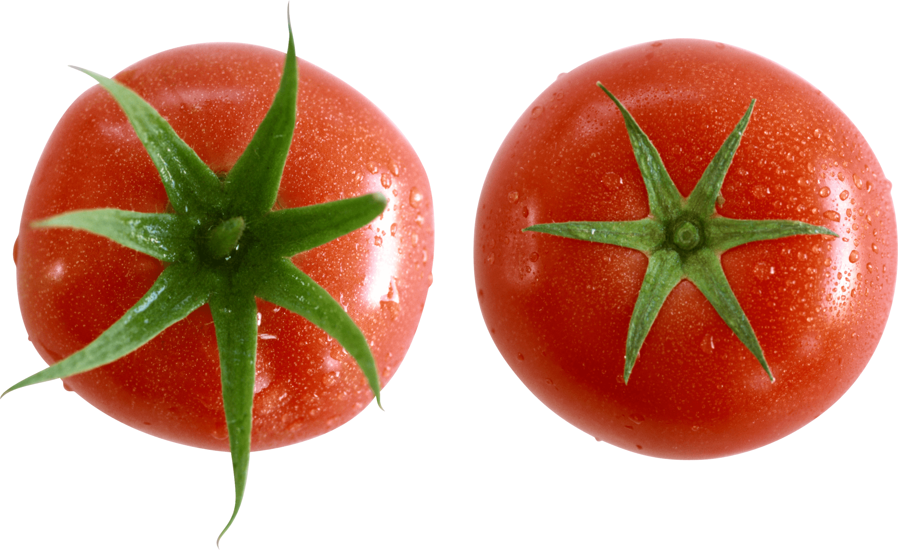 Tomato Png Image Transparent PNG Image