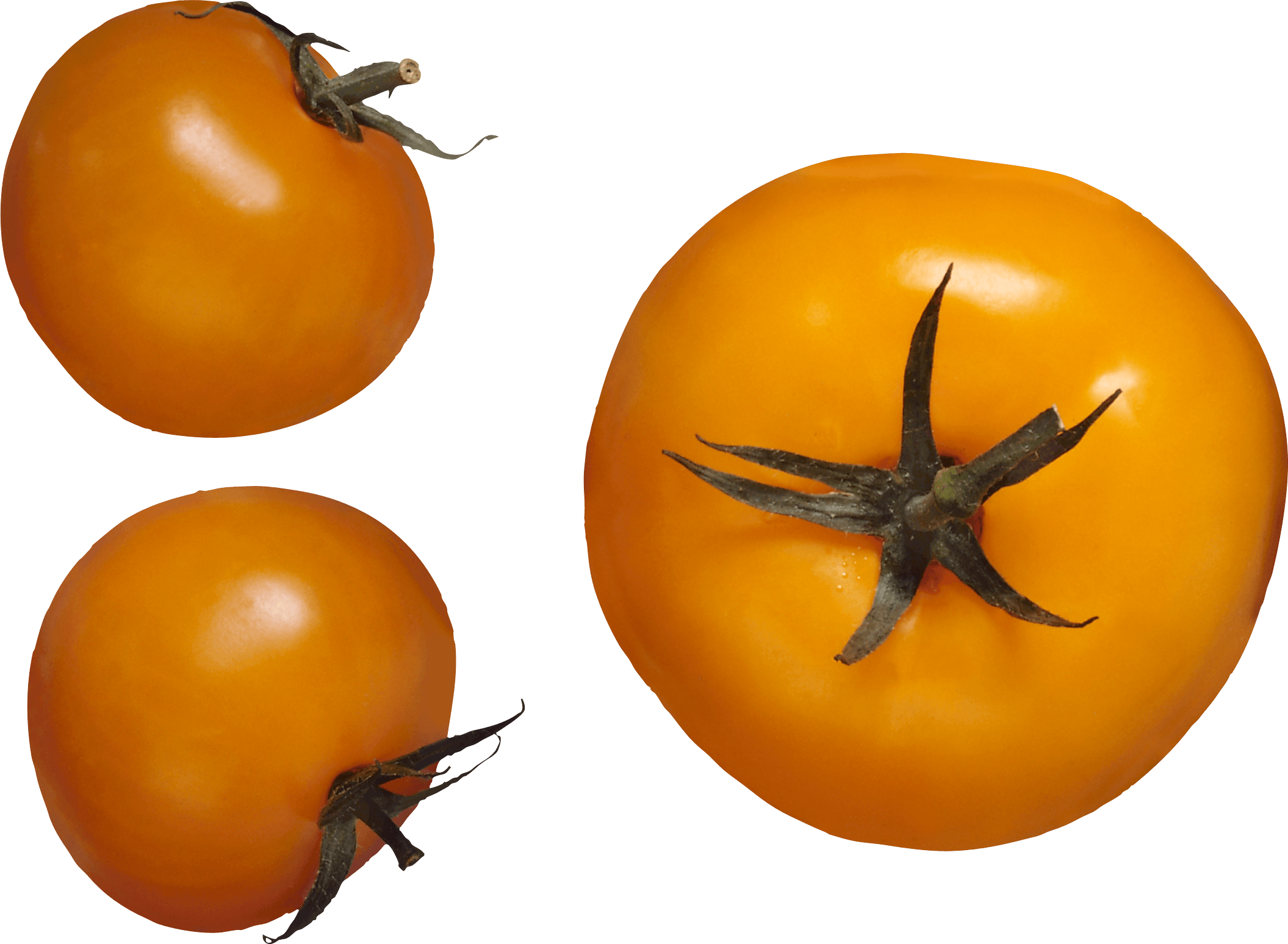 Yellow Tomato Png Image Transparent PNG Image