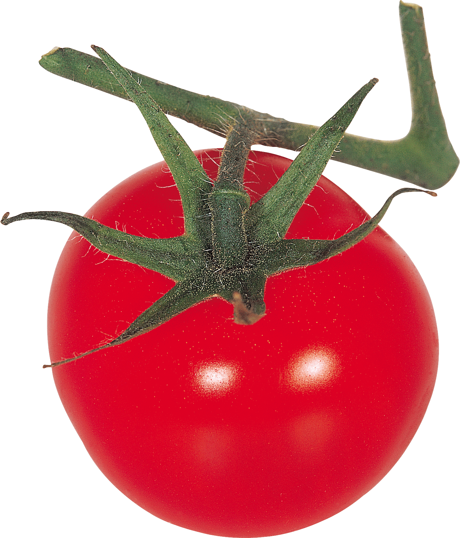 Tomato Png Image Transparent PNG Image