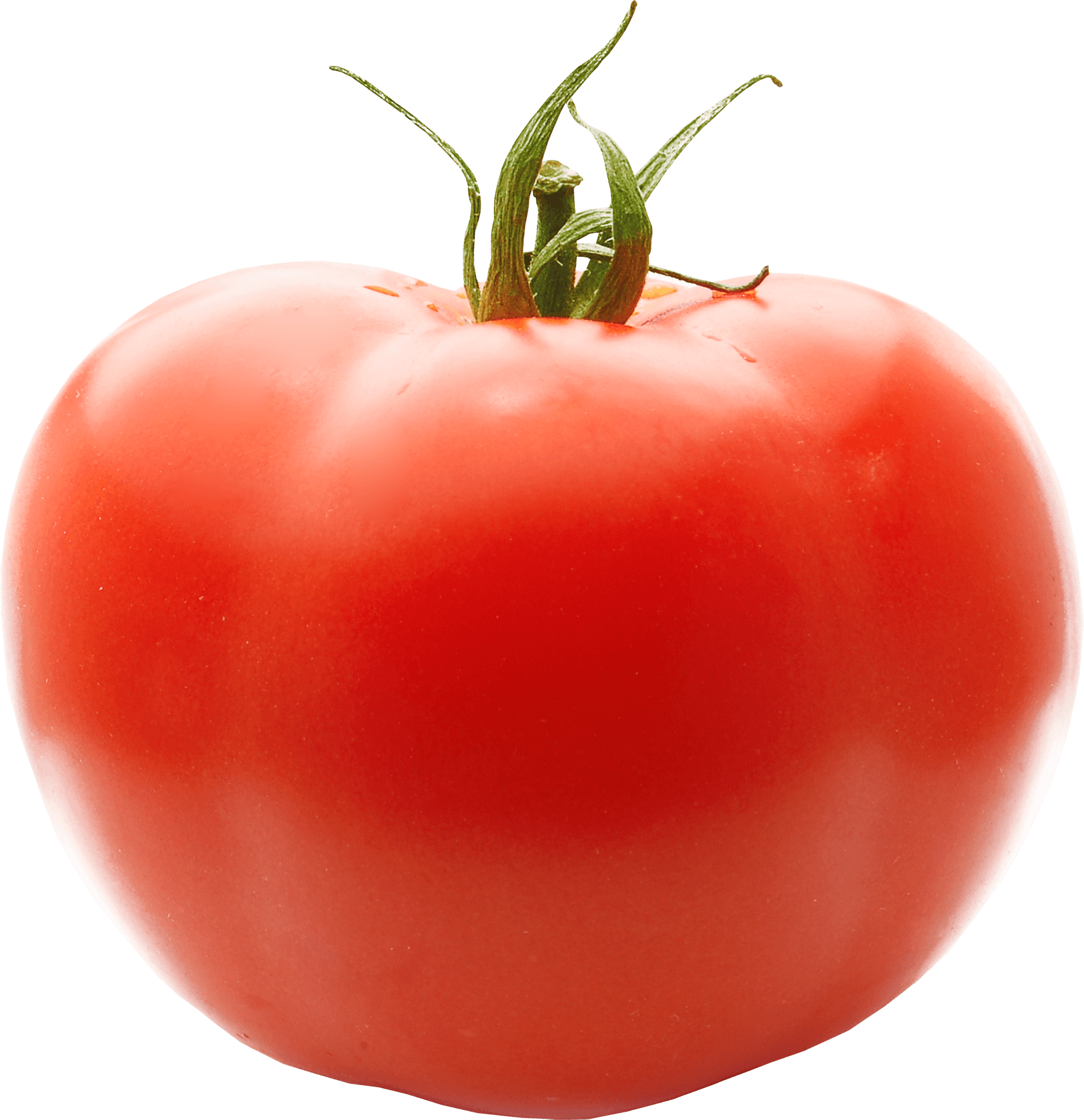 Tomato Png Image Transparent PNG Image