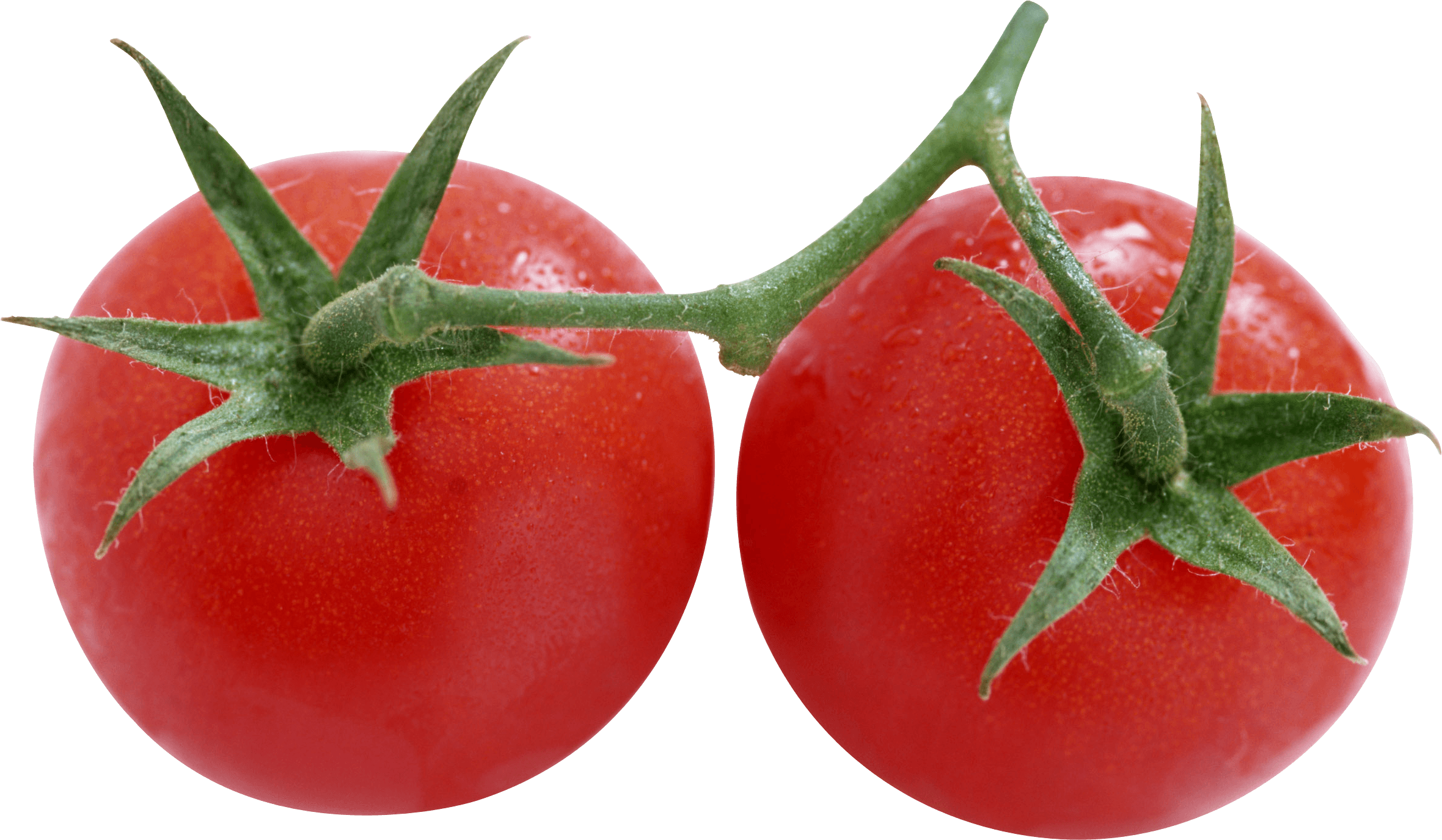 Tomato Png Image Transparent PNG Image