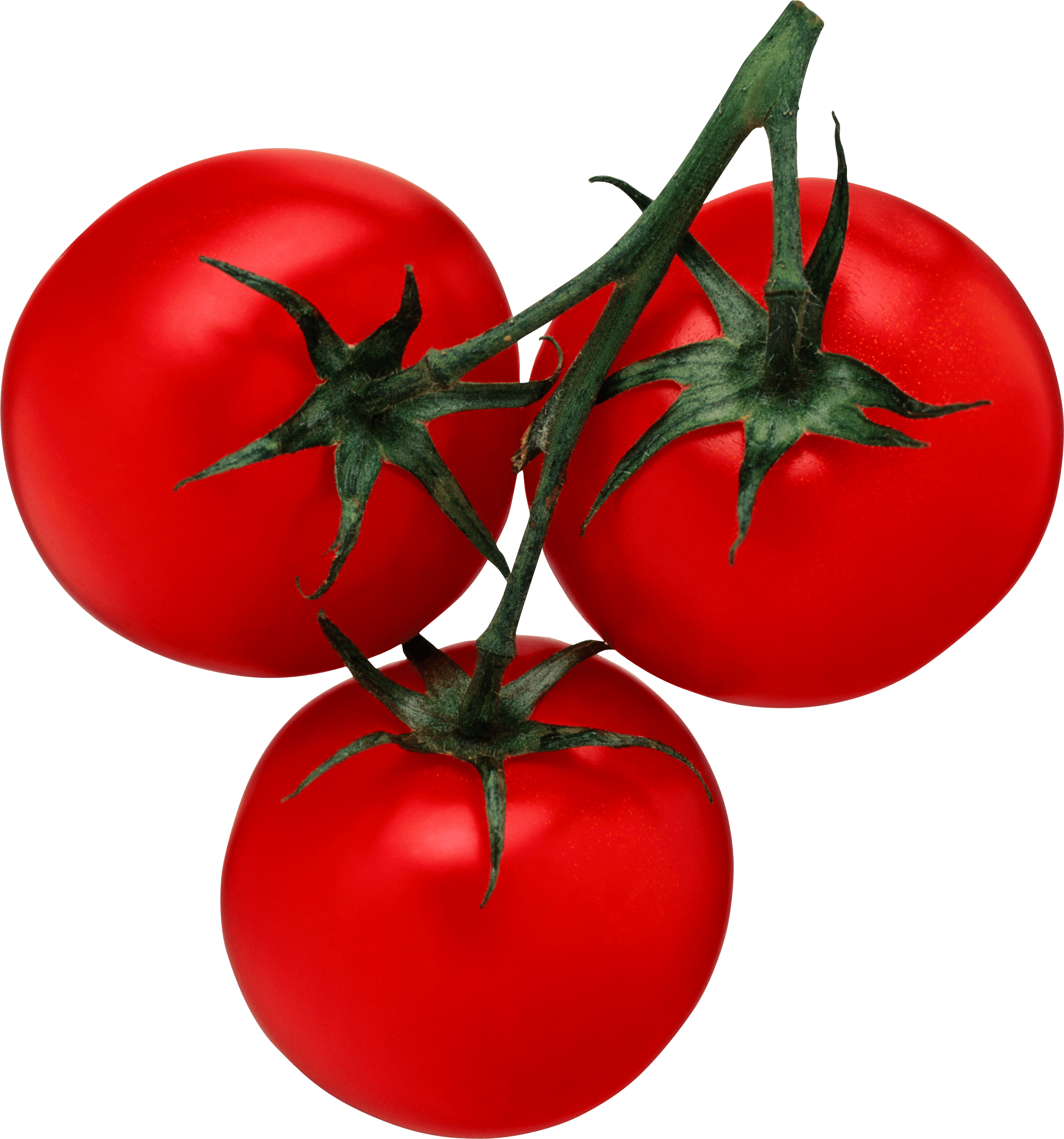 Tomato Png Image Transparent PNG Image