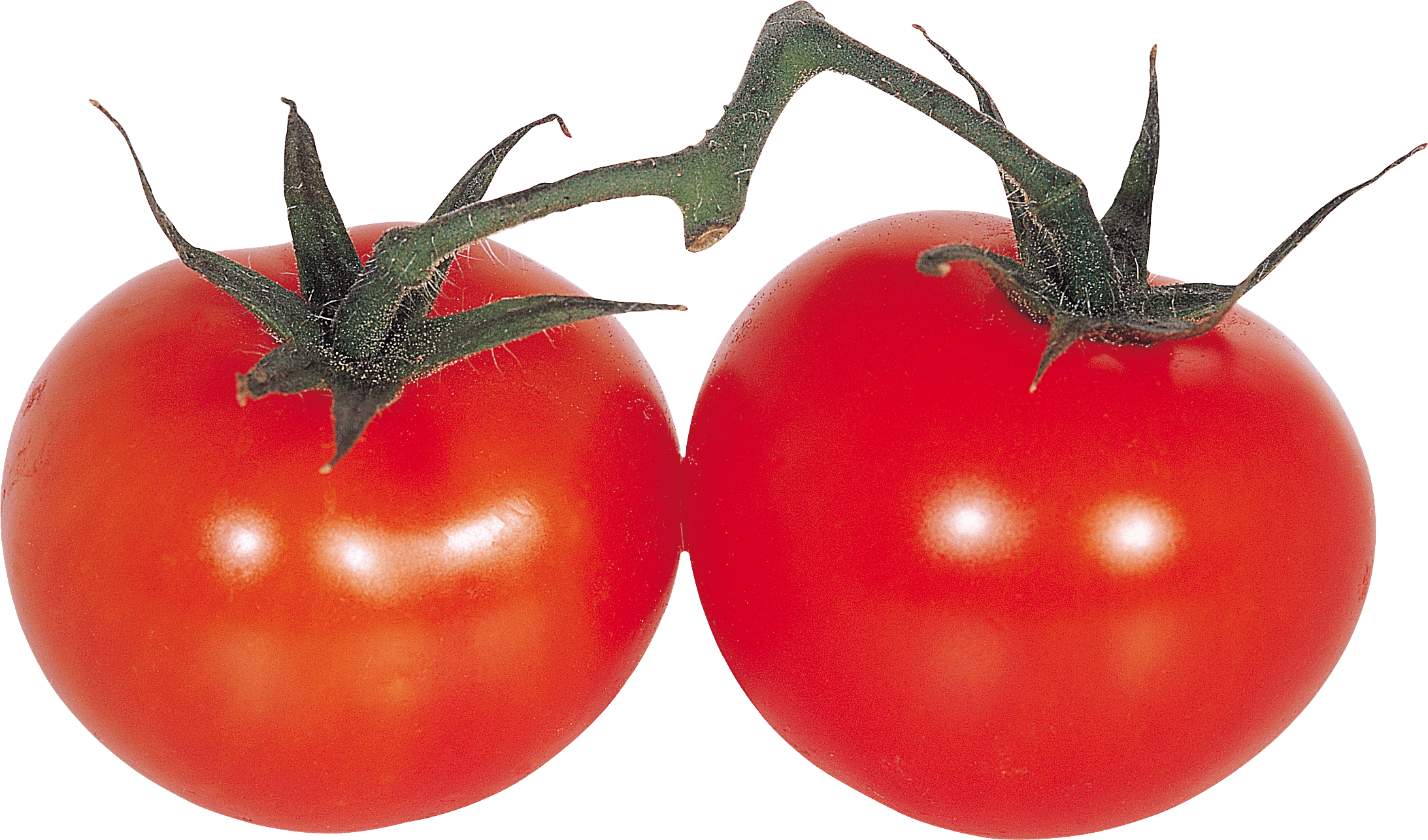 Tomato Png Image Transparent PNG Image