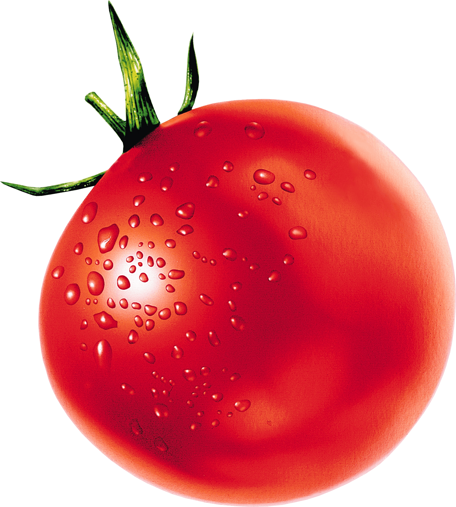 Tomato Png Image Transparent PNG Image