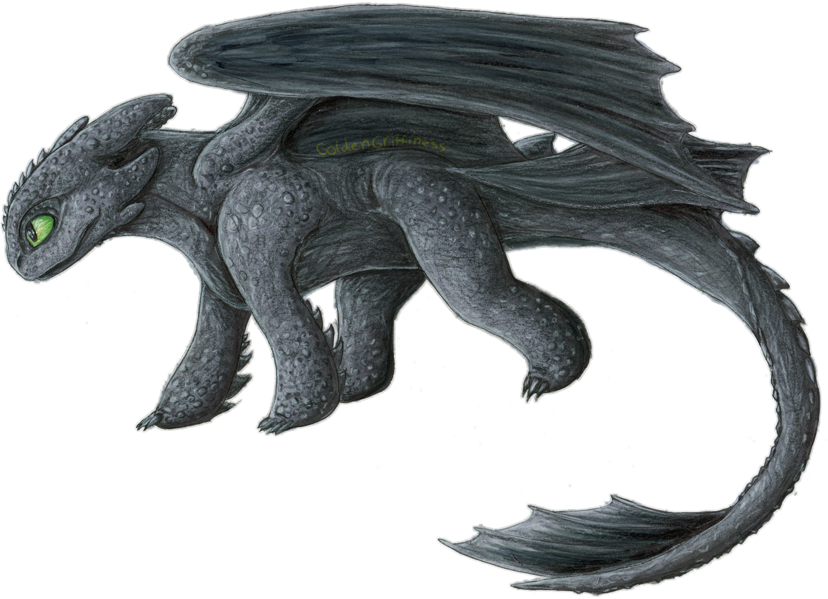 Toothless Dragon Free HQ Image Transparent PNG Image