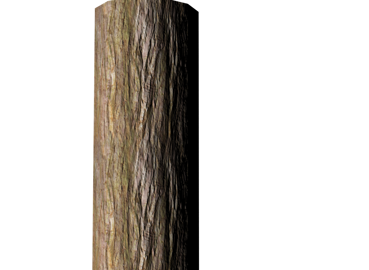 Tree Branch Trunk Free Transparent Image HD Transparent PNG Image