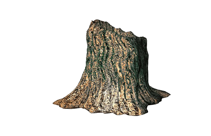 Tree Stump Trunk PNG File HD Transparent PNG Image