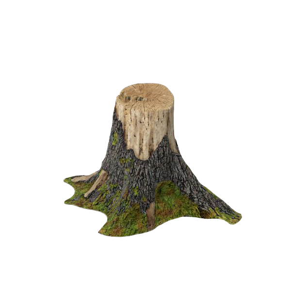 Tree Stump Trunk PNG Free Photo Transparent PNG Image