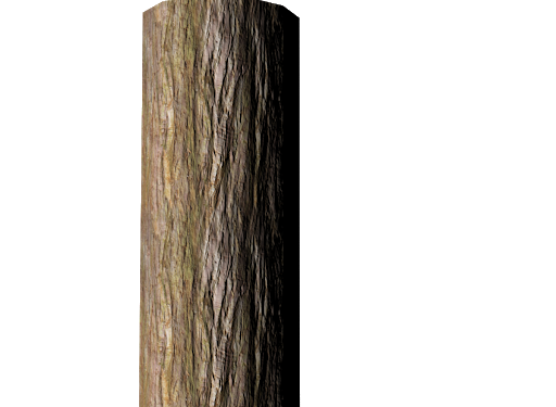 Tree Trunk Free Transparent Image HQ Transparent PNG Image