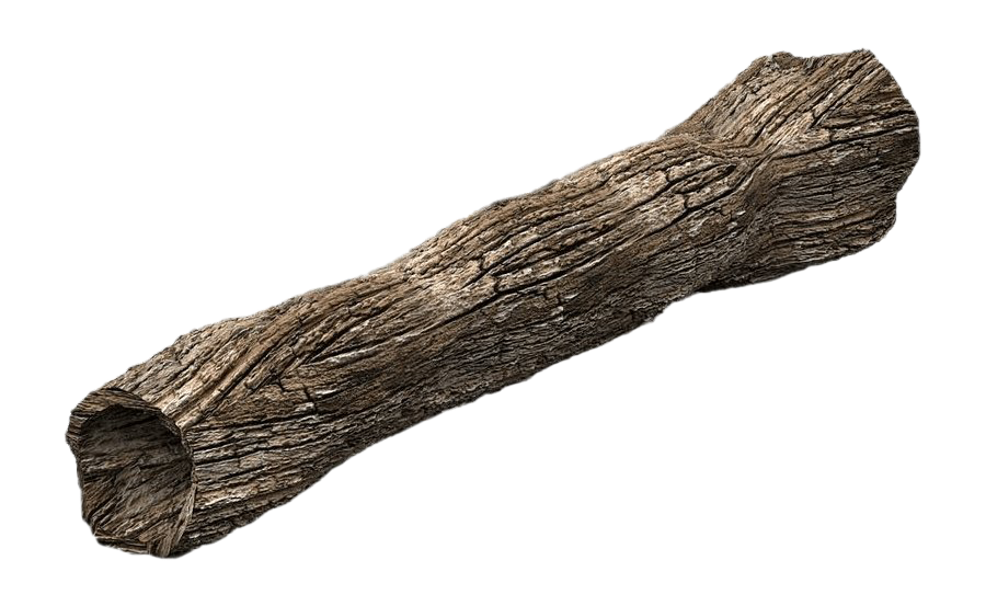 Tree Trunk Free Clipart HD Transparent PNG Image