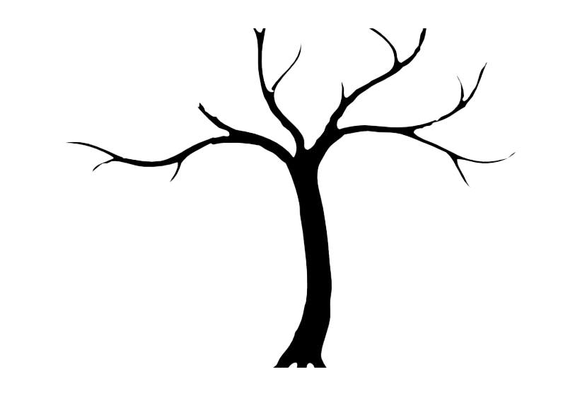 Tree Trunk PNG Download Free Transparent PNG Image