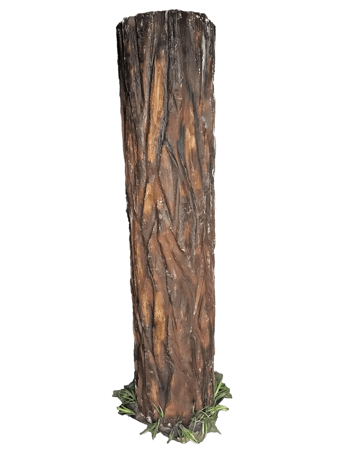 Pic Tree Trunk Free Transparent Image HD Transparent PNG Image