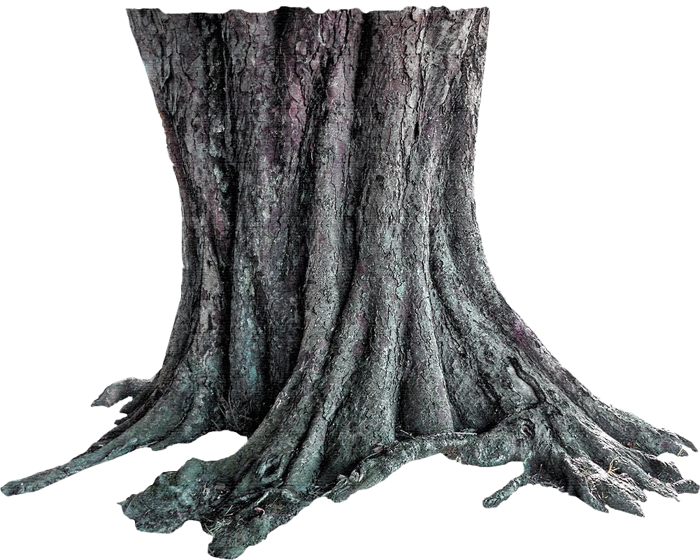 Tree Trunk Free Download PNG HD Transparent PNG Image