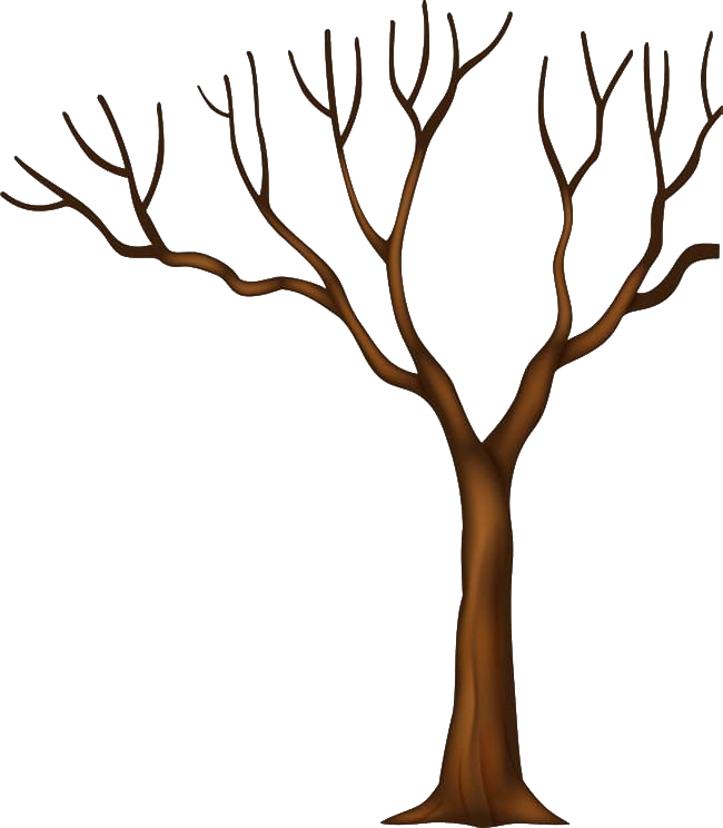 Tree Trunk Download HD Transparent PNG Image