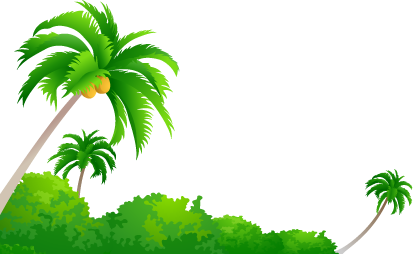 Coconut Tree Image Transparent PNG Image