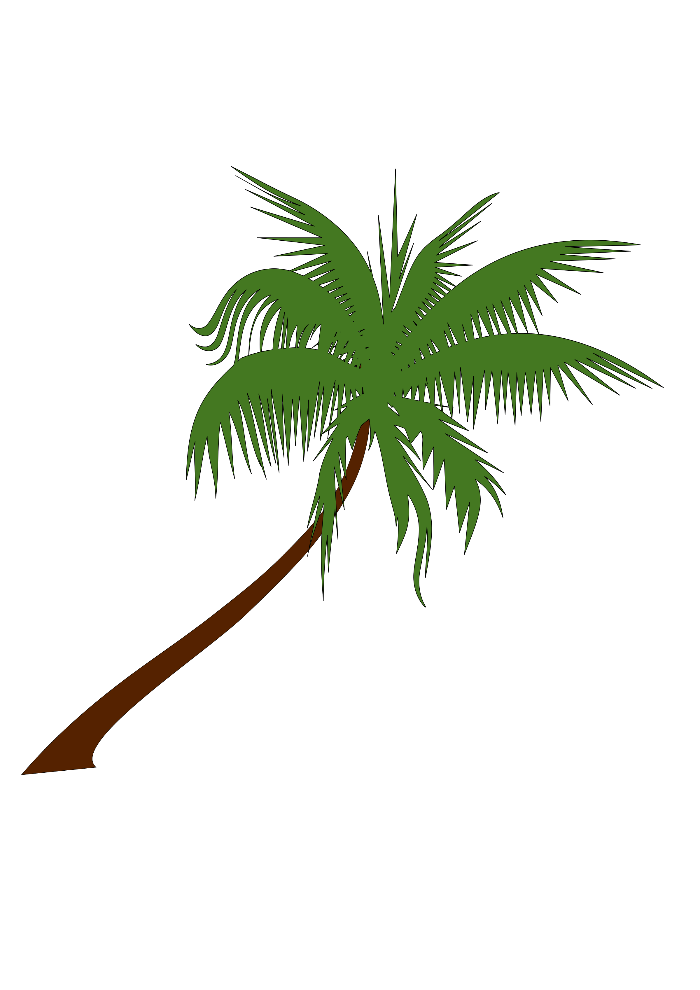 Coconut Tree Free Download Transparent PNG Image