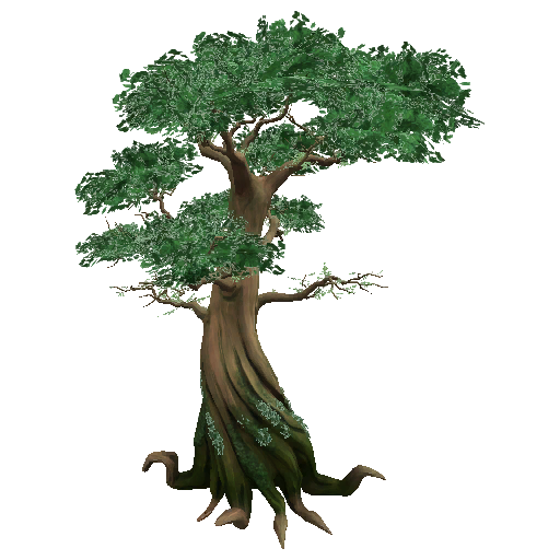 Jungle Tree Photo Transparent PNG Image