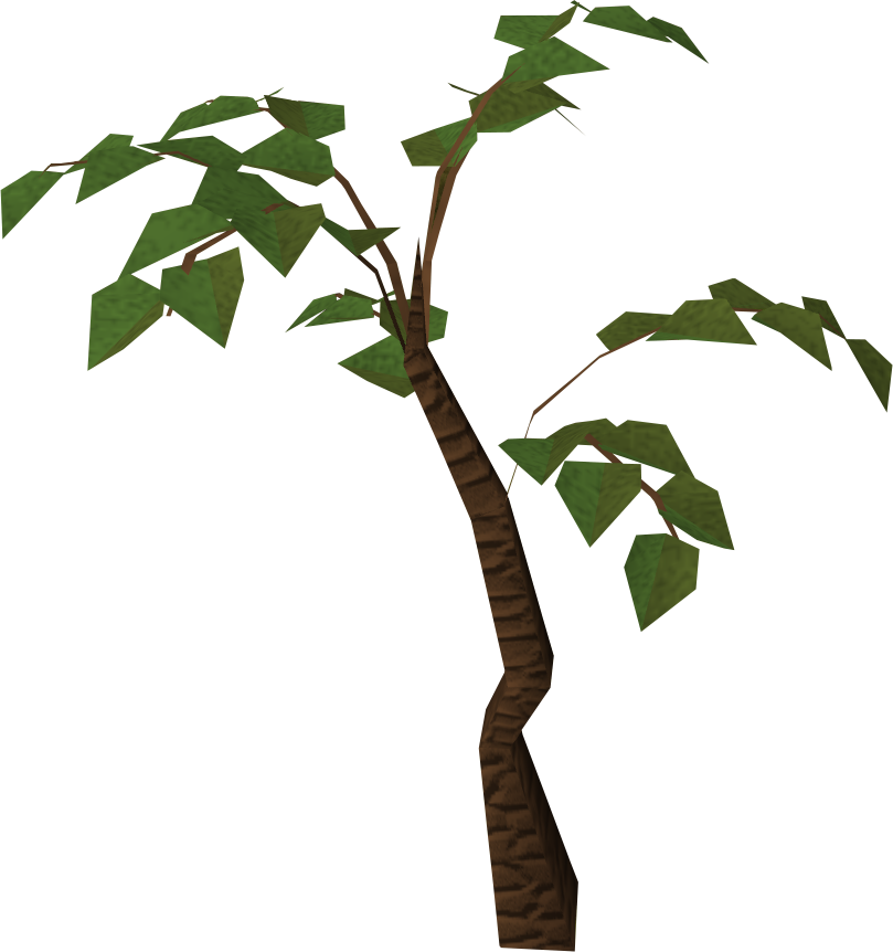 Jungle Tree Hd Transparent PNG Image