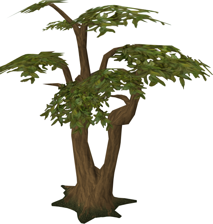 Jungle Tree Transparent Picture Transparent PNG Image