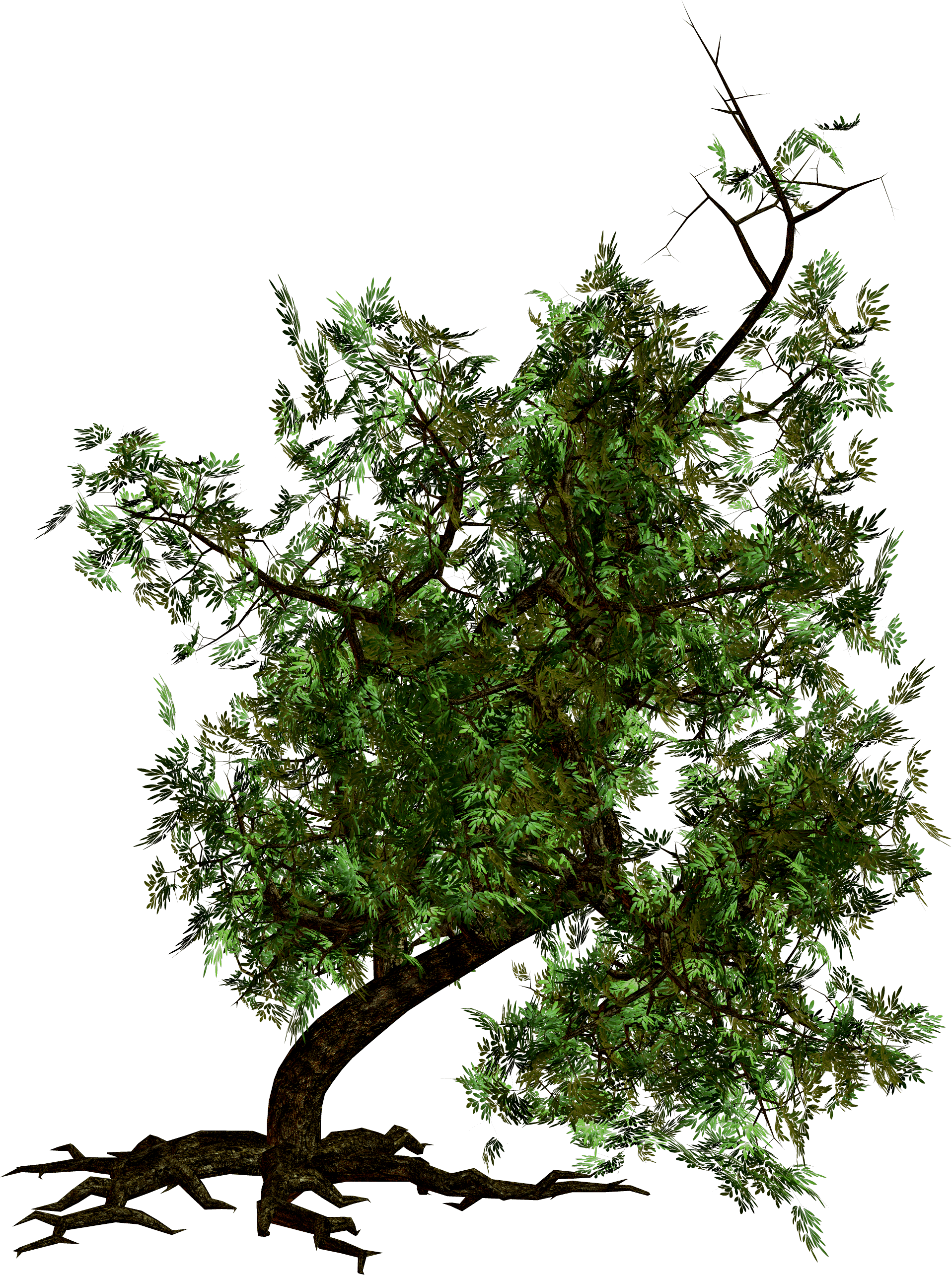 Tree Png Image Transparent PNG Image