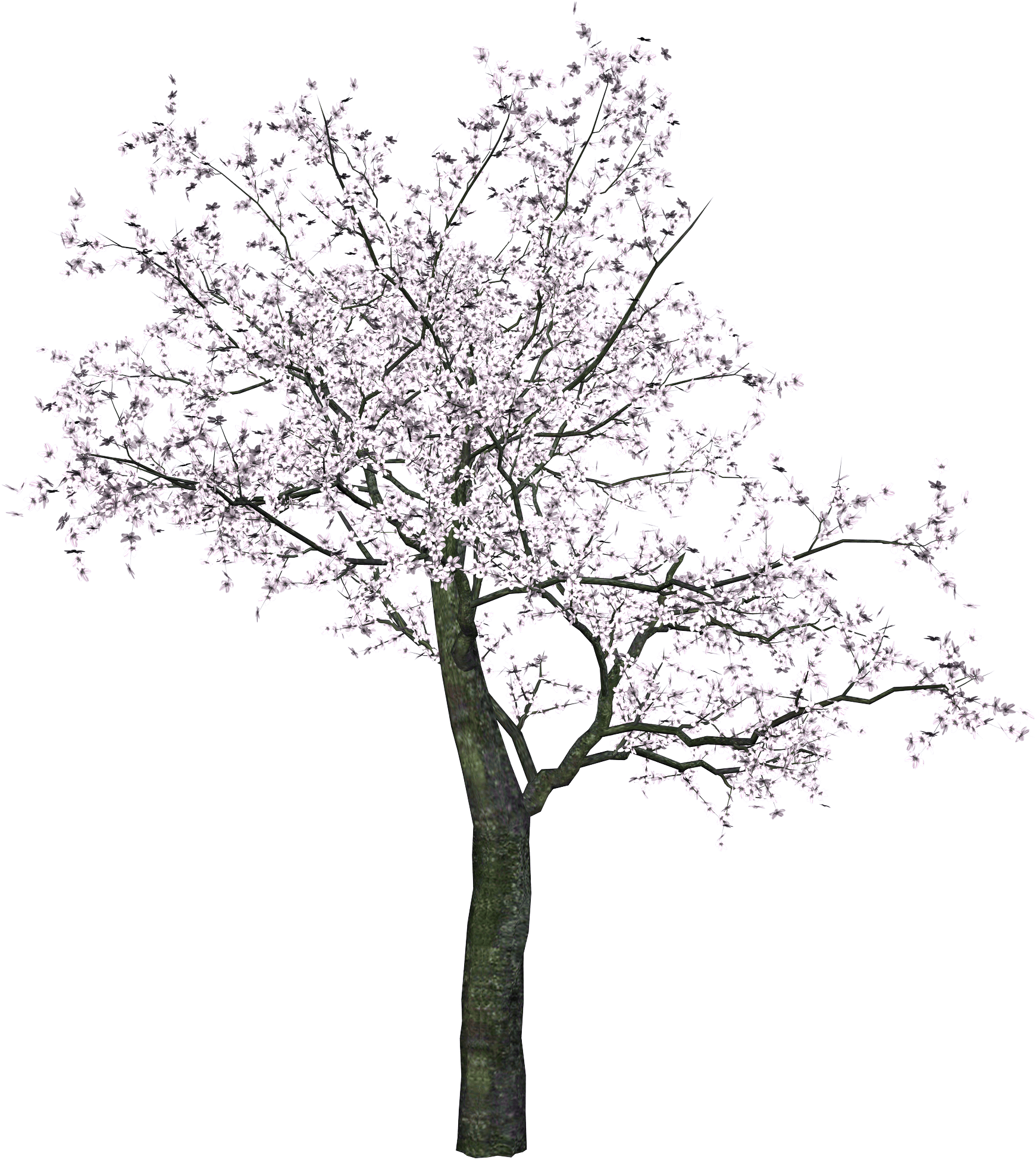 Tree Png Image Transparent PNG Image