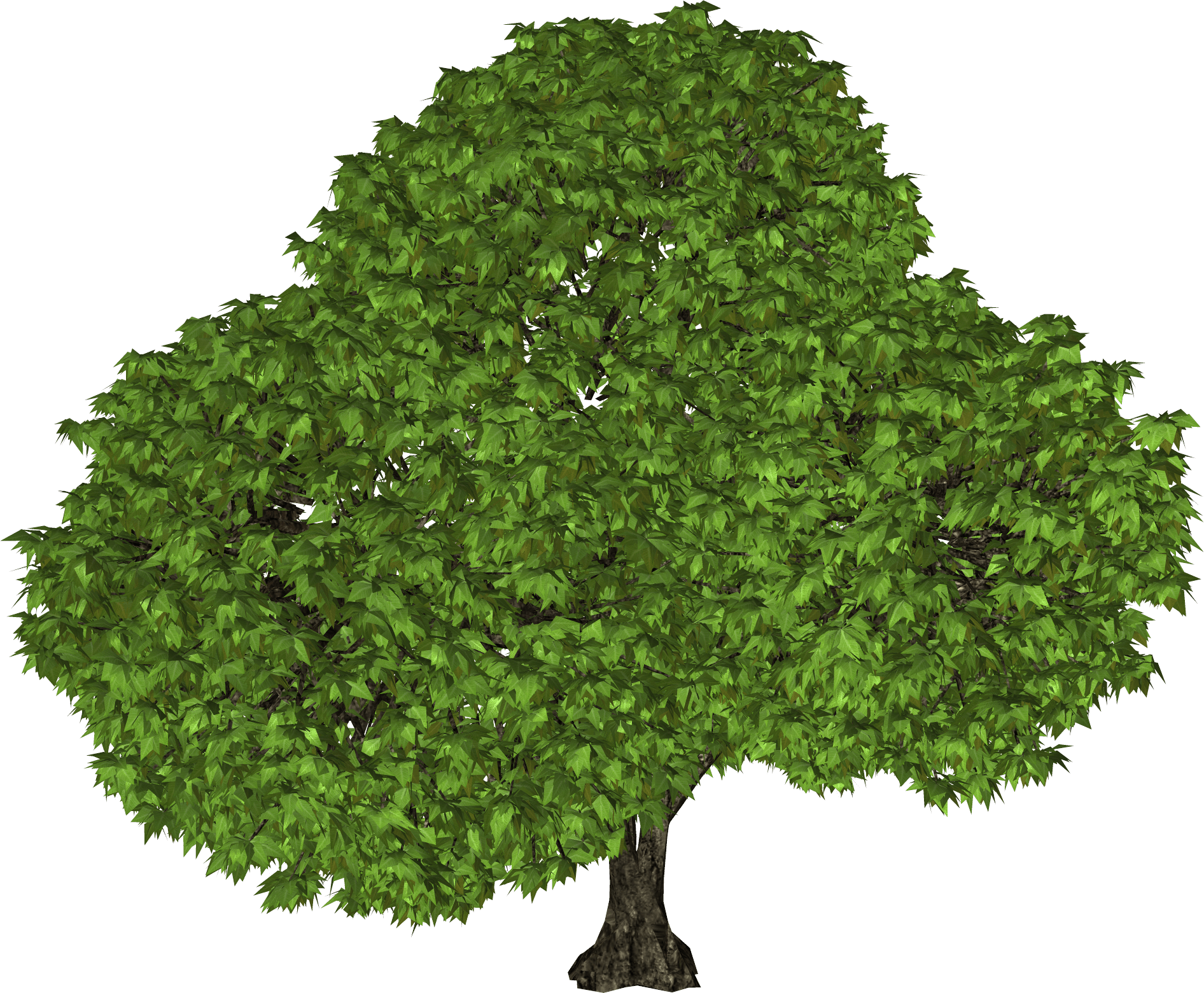 Tree Png Image Transparent PNG Image