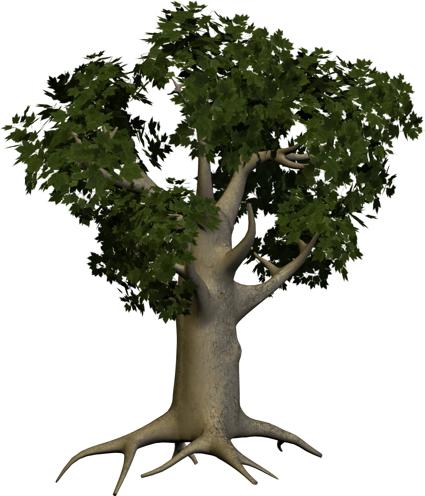 Tree Png Image Transparent PNG Image